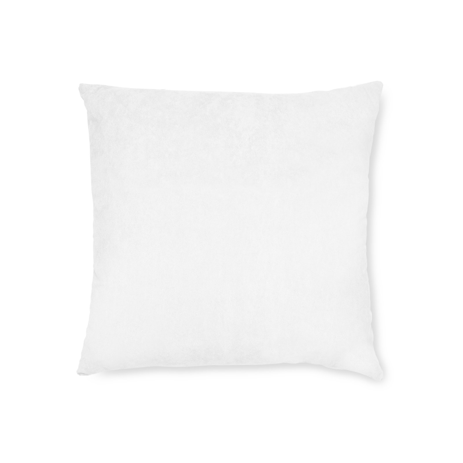 12424309228726978678 2048.jpeg
