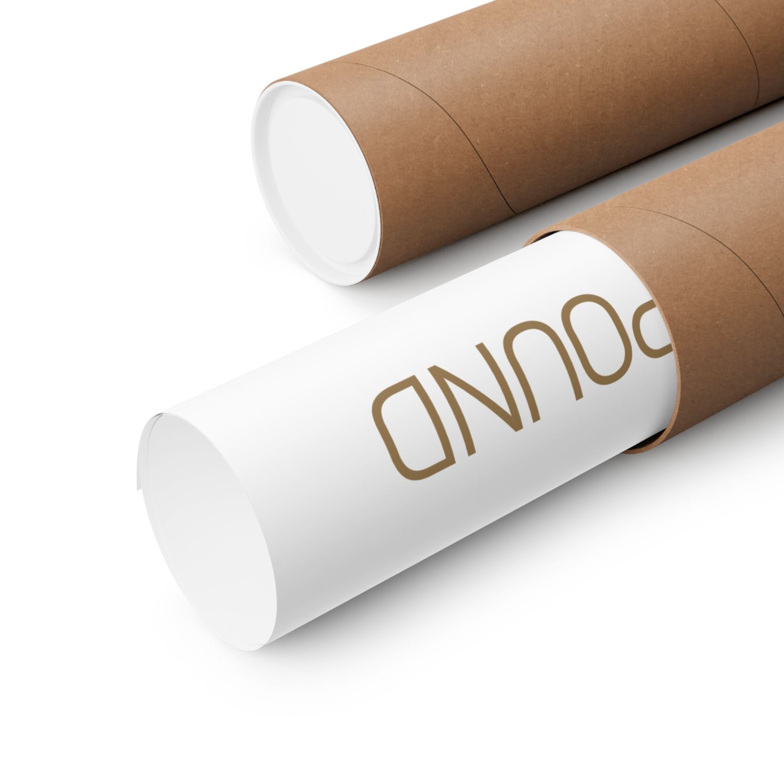 8083805833276287467 2048.jpeg