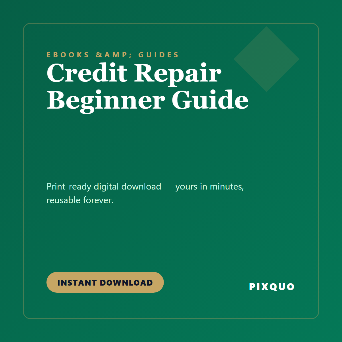Credit Repair Beginner Guide — printable digital download
