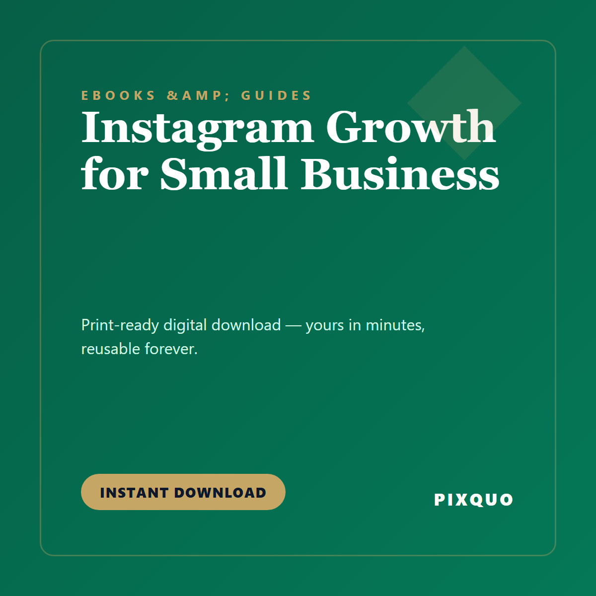 Instagram Growth for Small Business — printable digital download